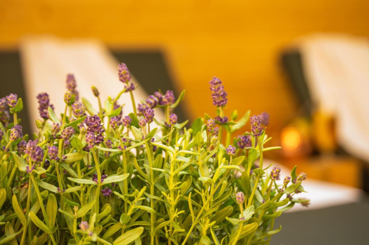 Wellnessoase Mitten In Triberg Triberg im Schwarzwald ภายนอก รูปภาพ